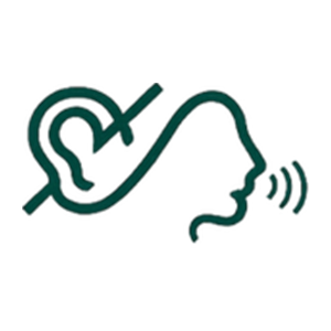 Noematica logo
